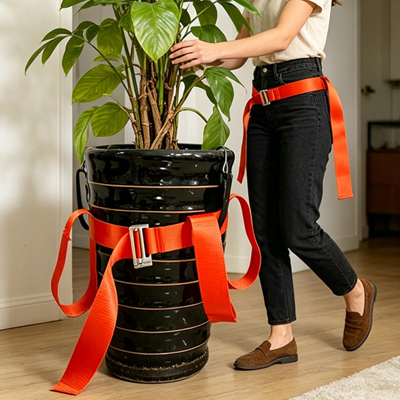 Cinta de Elevação para Paisagi - Lifting Belt avaliação e preço